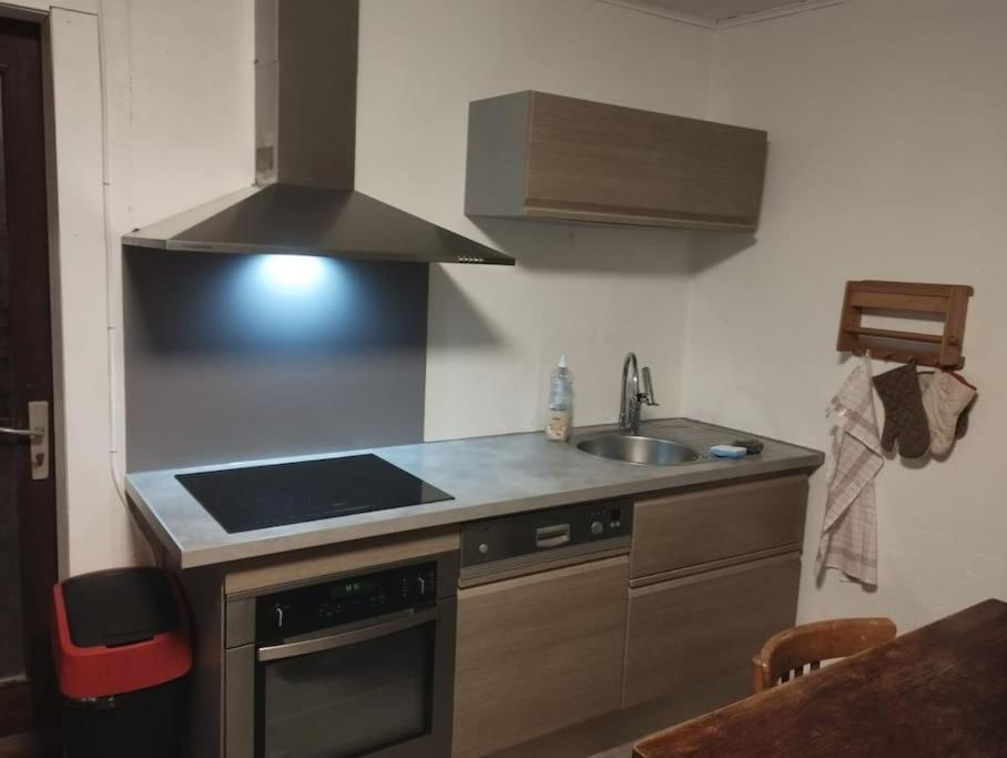 Chalet 8 Personnes + Grand Terrain Et Riviere Entremont 外观 照片