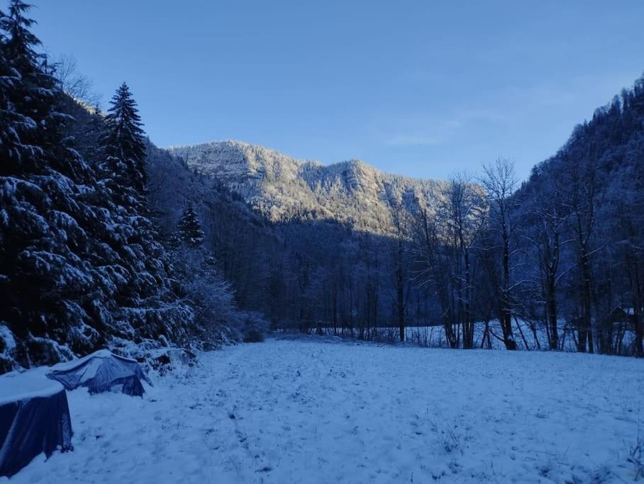 Chalet 8 Personnes + Grand Terrain Et Riviere Entremont 外观 照片