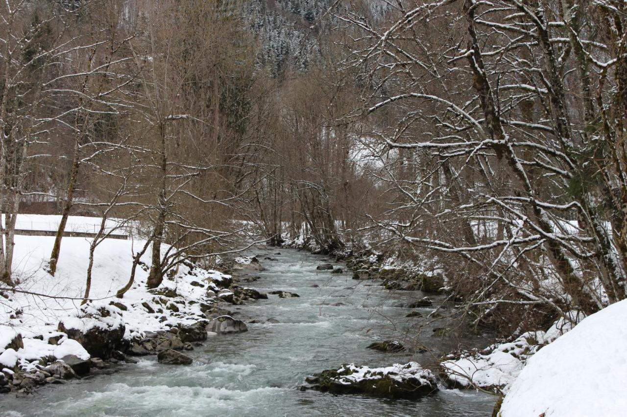 Chalet 8 Personnes + Grand Terrain Et Riviere Entremont 外观 照片