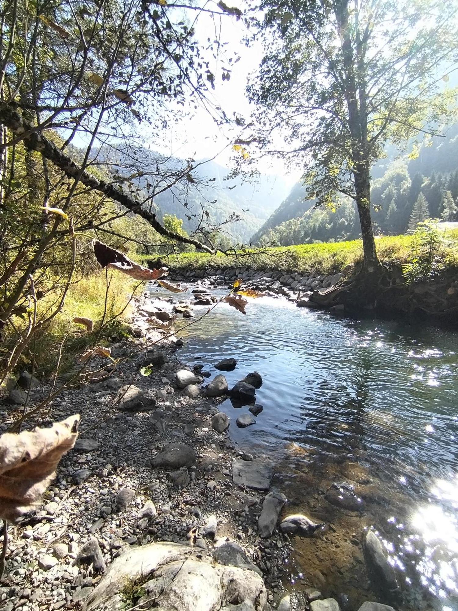Chalet 8 Personnes + Grand Terrain Et Riviere Entremont 外观 照片
